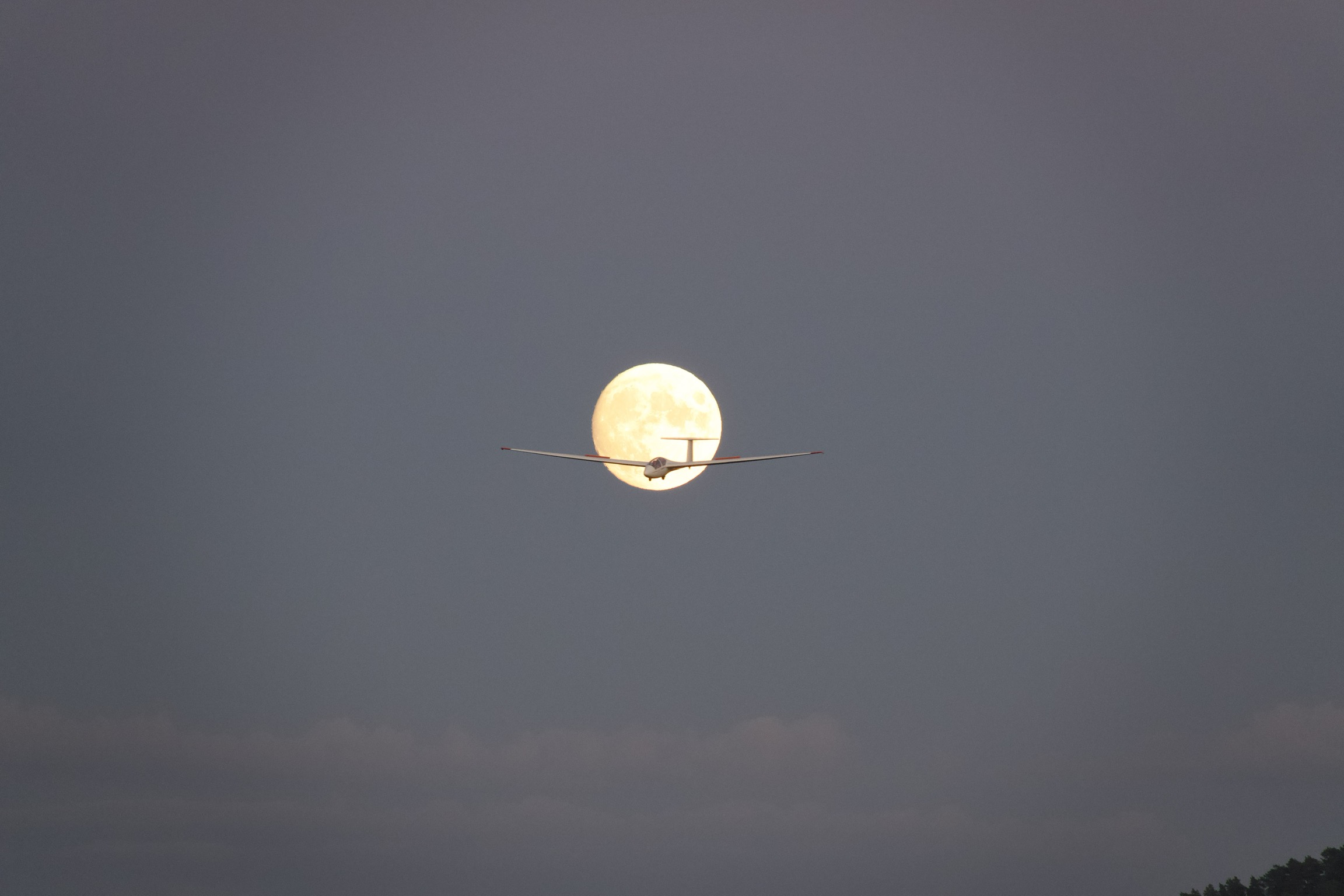 877825BD-663A-4055-88E4-907D2B8479BC