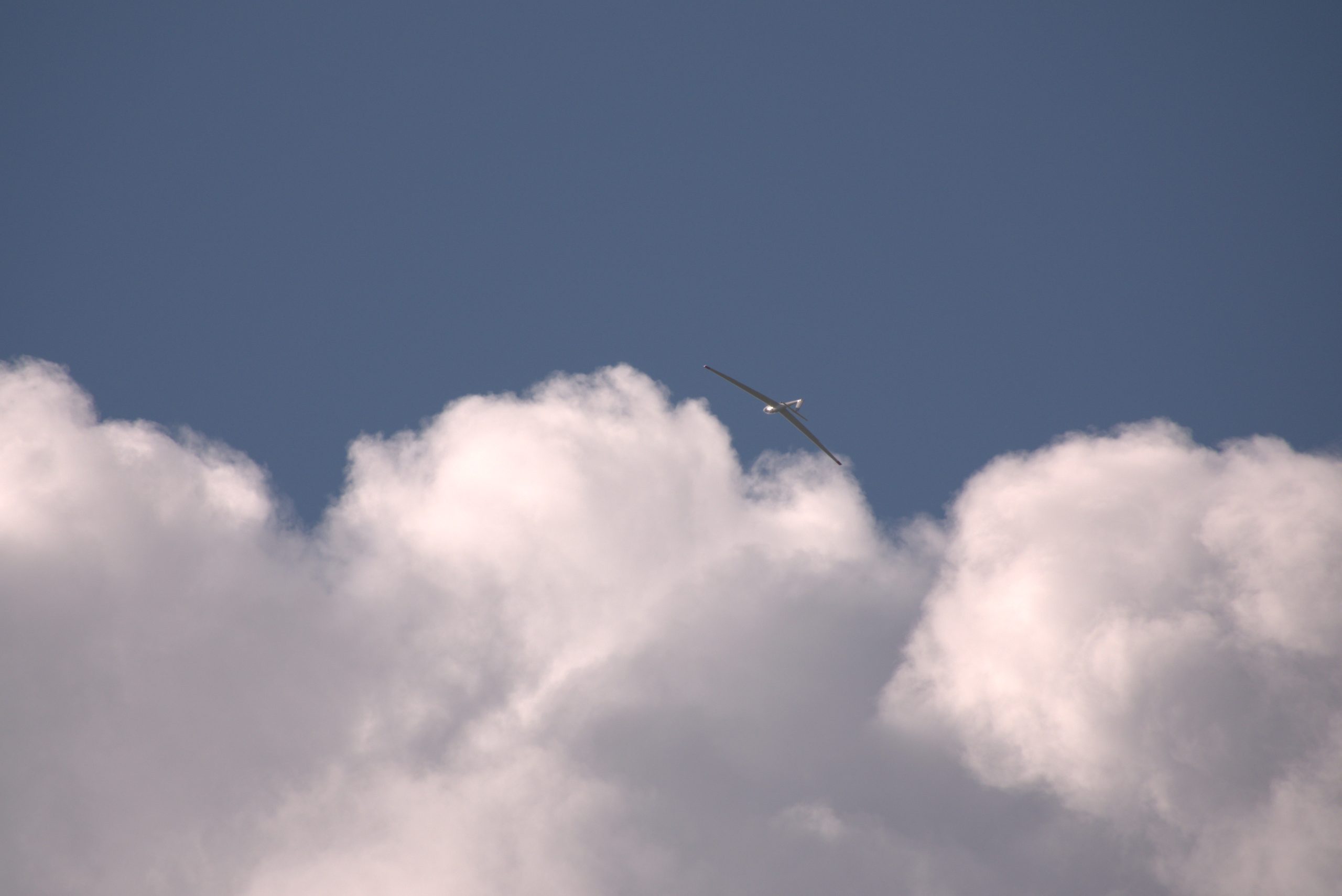 D016AC61-5AC3-402A-A721-DCB8FCB6DD87